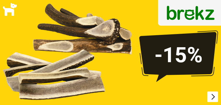 BREKZ ANTLERS 15% korting DOG